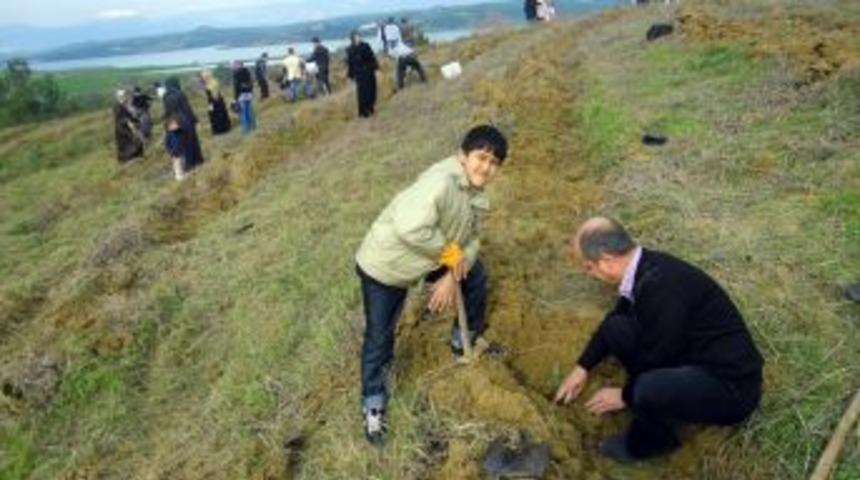 600 adet &Ccedil;EK&Uuml;D fidanı dikildi