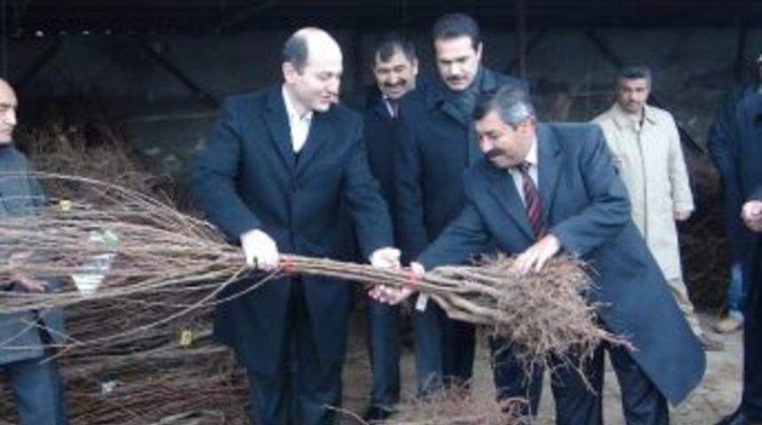 Aksaray'da &Ccedil;ift&ccedil;ilere 18 Bin Meyve Fidanı