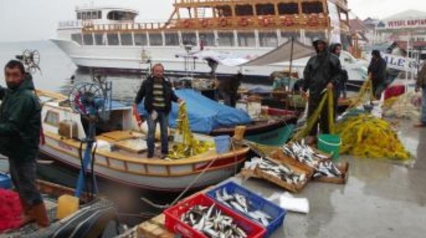 Ayvalık&rsquo;ta Kupa Balığı Bereketi