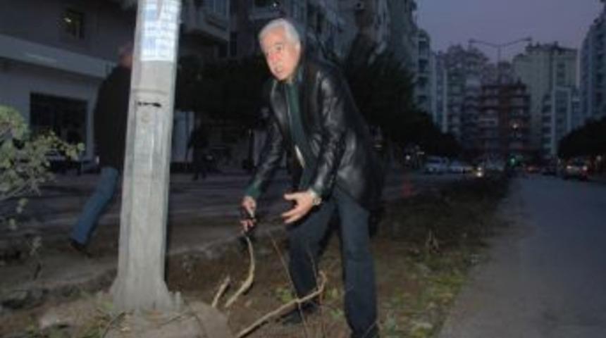 Gazipaşa Prestijli G&ouml;rselliğe Kavuşacak