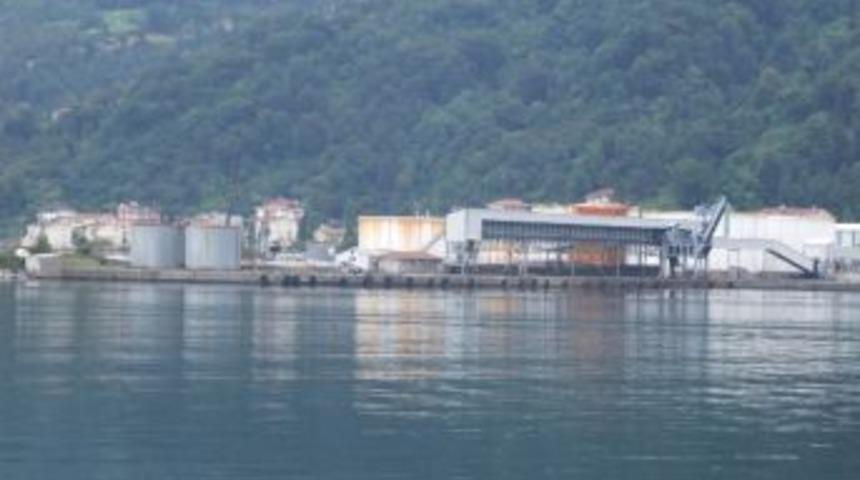 Artvin'in Hopa Limanı Demiryolu İstiyor