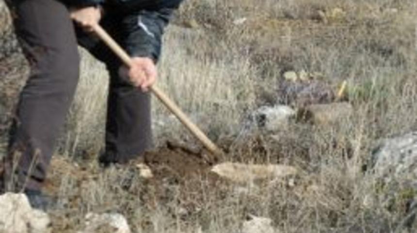 Afet M&uuml;d&uuml;rl&uuml;ğ&uuml;&rsquo;nden Hatıra Ormanı