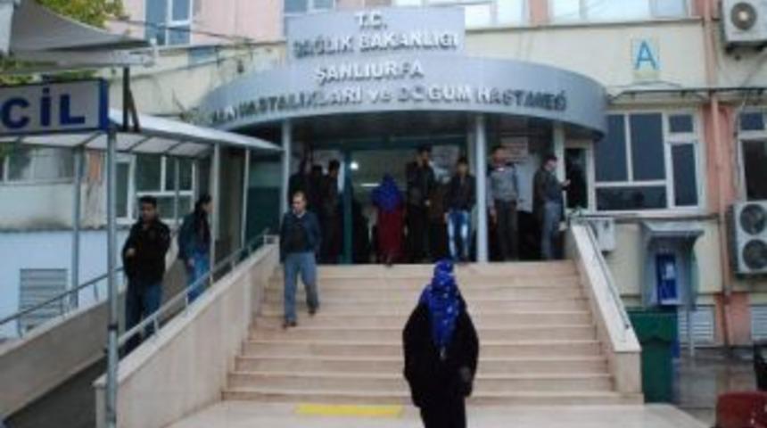 Şanlıurfa'da 1 Yıldaki Toplam Doğum Sayısı İl&ccedil;e N&uuml;fusları Kadar