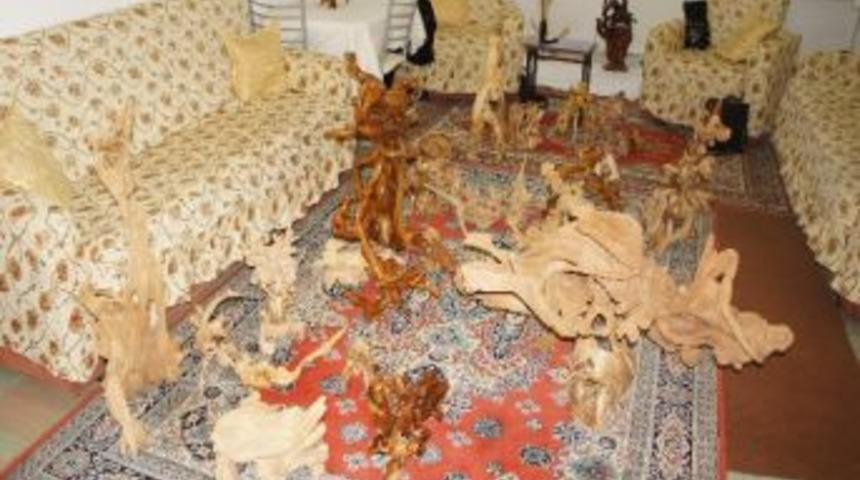 Ağa&ccedil; K&ouml;klerini Sanat Eserine D&ouml;n&uuml;şt&uuml;r&uuml;yor