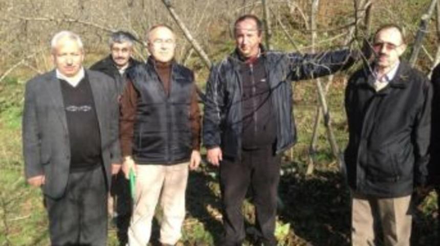 Halk Eğitimin A&ccedil;tığı Meyve Budama Kursuna En B&uuml;y&uuml;k İlgiyi Memurlar G&ouml;sterdi