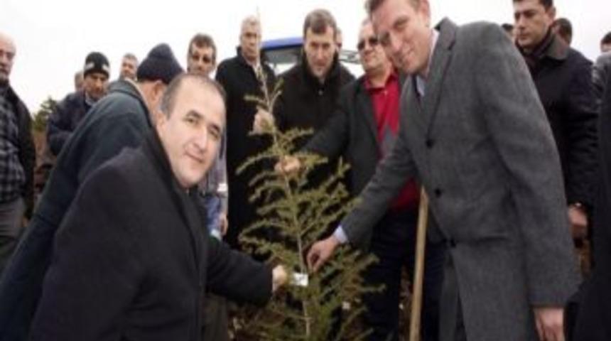 Tavşanlı'da 'demokrasi Ormanı'