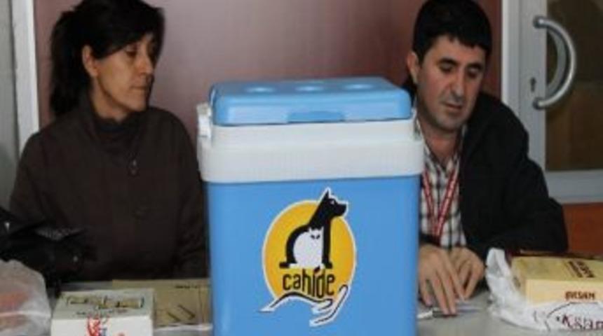 "cahide", Sahipsiz Sokak Hayvanlarına Sahip &Ccedil;ıkıyor