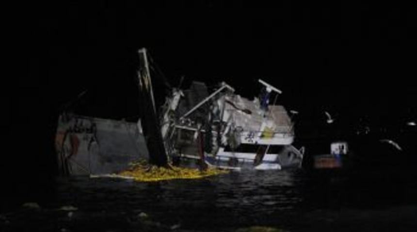 Rize'de 15 Ton Hamsi Denize Sa&ccedil;ıldı
