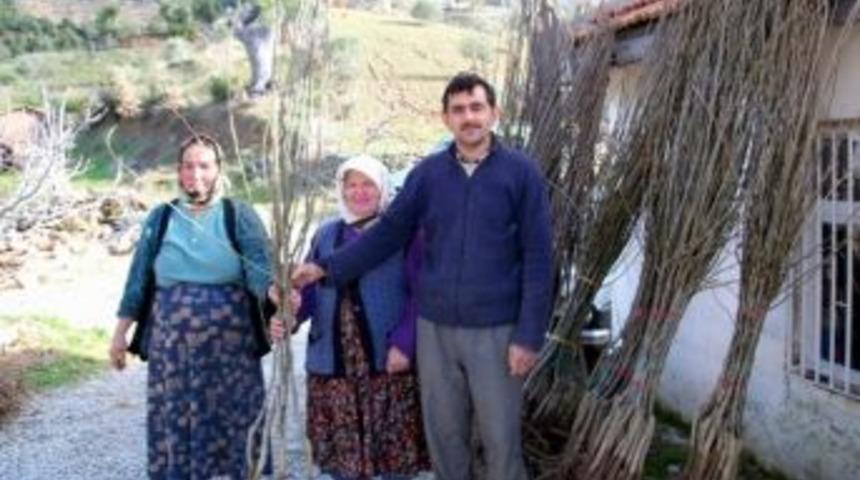 Dalamanlı &Uuml;reticiye Meyve Fidanı Desteği