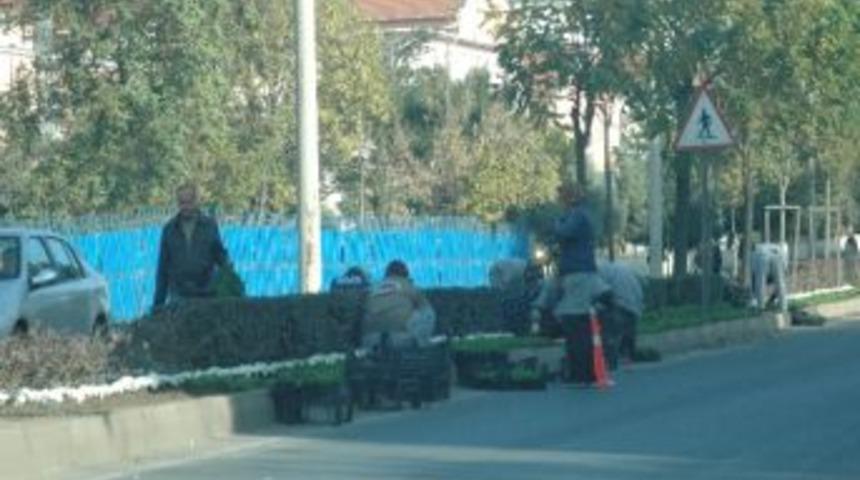 Kış &Ccedil;i&ccedil;ekleri Toprakla Buluşuyor
