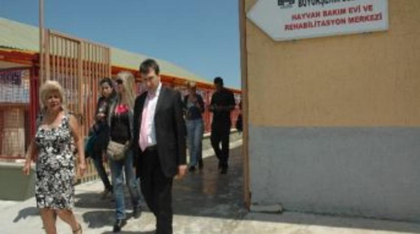 Hınıs Belediyesi&rsquo;nin Hayvanları Katlettiği Yolundaki İddialar &Uuml;zerine, Erzurum B&uuml;y&uuml;kşehir Belediyesi Harekete Ge&ccedil;ti