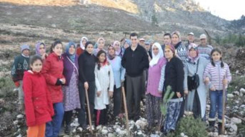 Başkan T&uuml;t&uuml;nc&uuml;&rsquo;den Şehitlerin Anısına Fidan