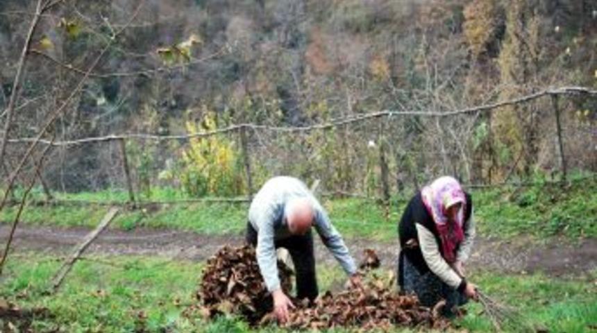 Yaşlı &Ccedil;ift, Hayvanlarını Soğuktan Korumak I&ccedil;in Gazel Topluyor