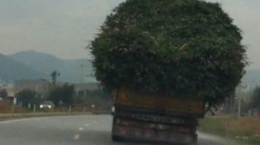 Aşırı Y&uuml;kl&uuml; Kamyon G&ouml;renleri Şaşırttı