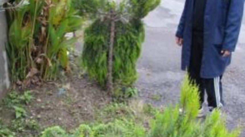 Edremit&rsquo;te Ağa&ccedil; Katliamına Vatandaş Tepkisi