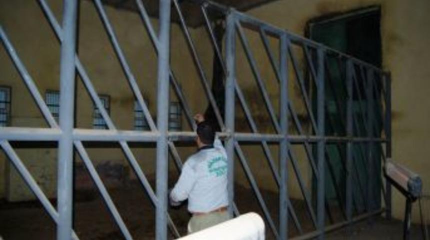 Bu Hayvanların Kışlık Men&uuml;leri &Ouml;zel, Isıtma Sistemleri G&uuml;zel