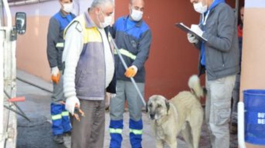 Kocasinan&rsquo;dan Sokak K&ouml;peklerine Kış Koruması