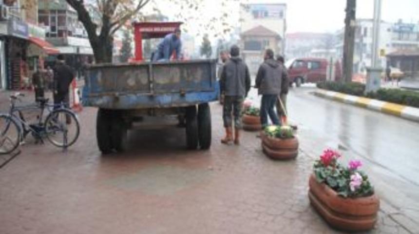 Akyazı&rsquo;da Kış Aylarında &Ccedil;i&ccedil;ek Baharı