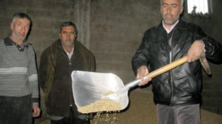 Arpa Fiyatının 85 Kuruşa Y&uuml;kselmesi Besicileri Zor Duruma D&uuml;ş&uuml;rd&uuml;