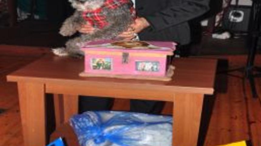 Sokaklardan Toplayıp Beslediği K&ouml;peklerin Bakımı I&ccedil;in Gece D&uuml;zenledi