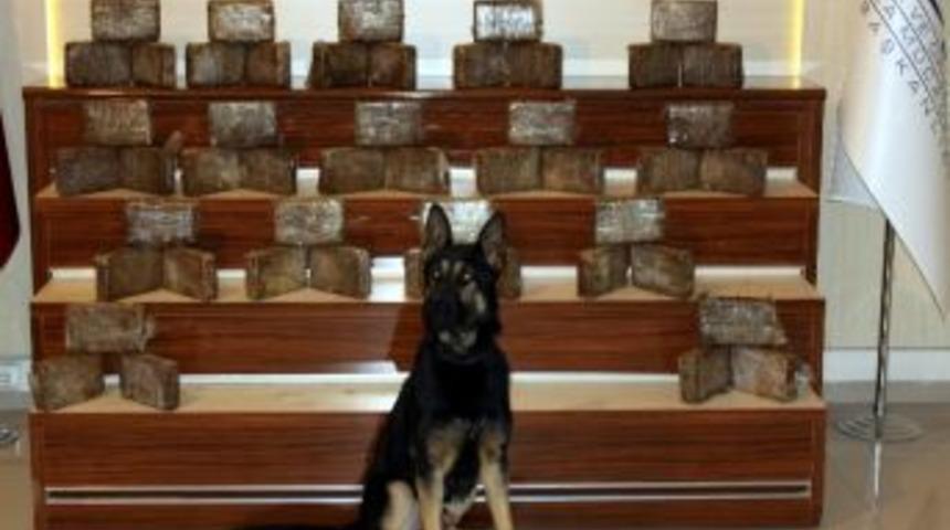 İzmir&rsquo;in Şirince K&ouml;y&uuml;ne G&ouml;t&uuml;r&uuml;ld&uuml;ğ&uuml; İddia Edilen 50 Kilo Eroin Maddesi Ele Ge&ccedil;irildi