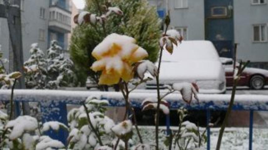 Bilecik Beyazlara B&uuml;r&uuml;nd&uuml;