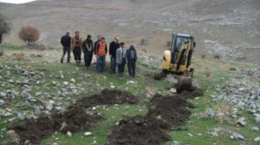 Arapgir&rsquo;de Badem Dikildi