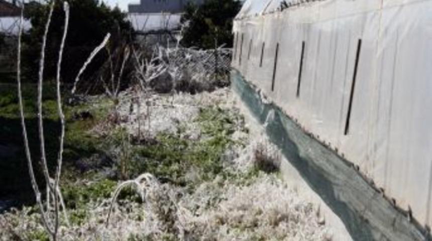 Aydın&rsquo;a Don Uyarısı