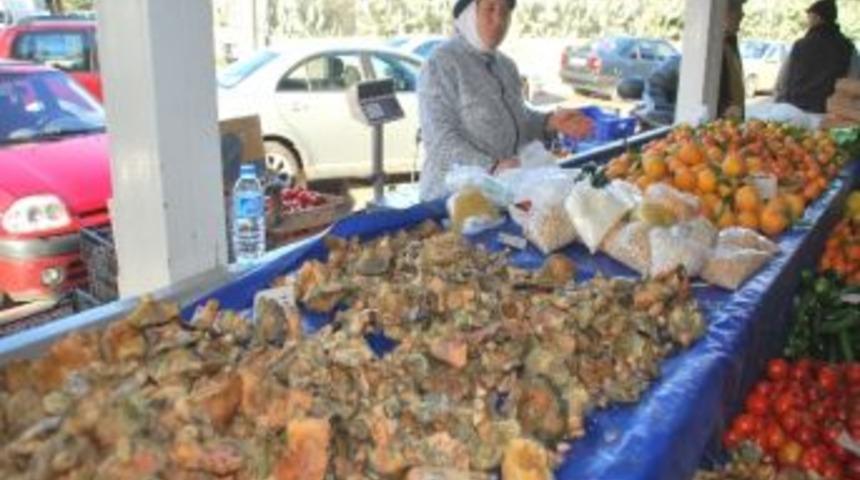 Marmaris'te &Ccedil;ıntar Bereketi