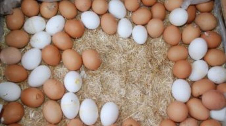 Yumurta&rsquo;nın A&ccedil;ıkta Satışına Yasak Geliyor