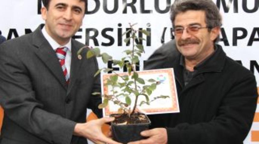 Rize&rsquo;de 20 Aileye 6 Bin Likapa Fidanı Dağıtıldı