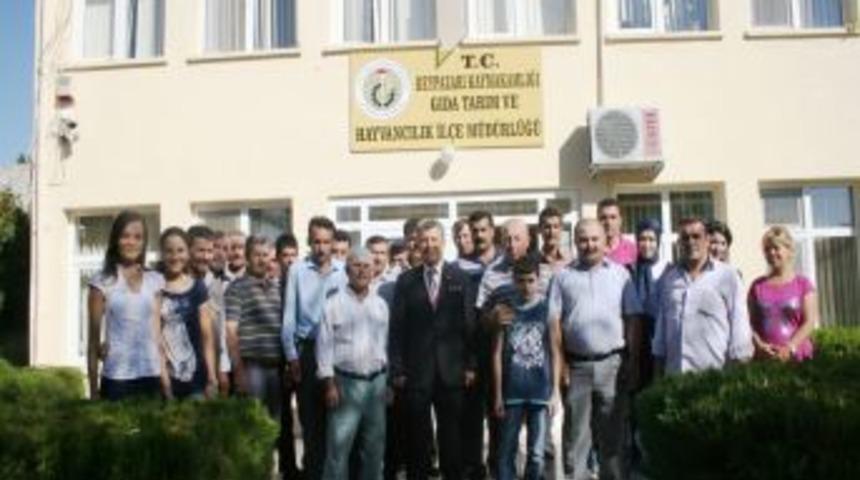 Beypazarı&rsquo;nda Yetiştiricilere Gebe D&uuml;ve Dağıtıldı