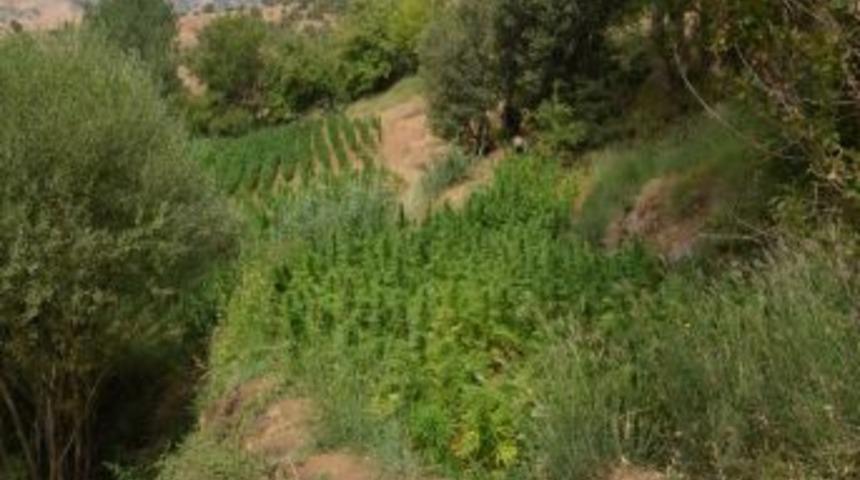 Bing&ouml;l&rsquo;de Uyuşturucu Operasyonu