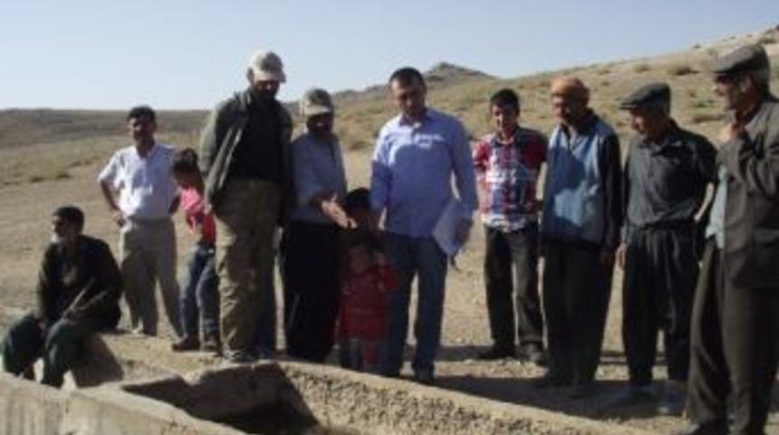 Koyun Ke&ccedil;i Yetiştiricileri Birliği Anket Başlattı