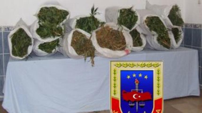 Jandarmadan Uyuşturucu Operasyonu