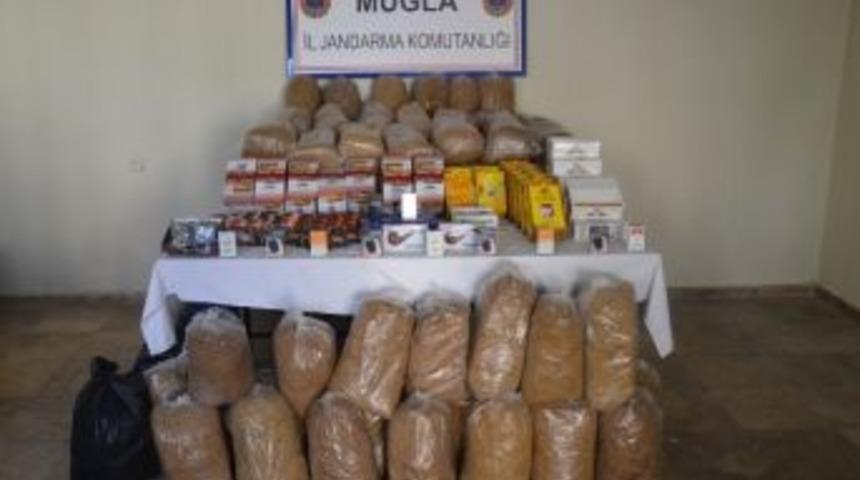 Muğla'da Ka&ccedil;ak T&uuml;t&uuml;n Ve &Ccedil;ay Ele Ge&ccedil;irildi