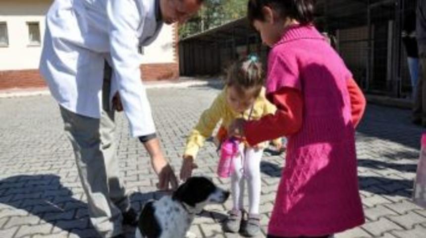 Odunpazarı Belediyesi'nden Hayvan Hakları Eğitimi