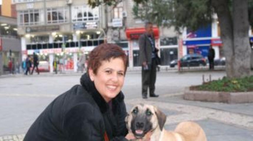 &Ccedil;ocuklara Hayvan Sevgisini Aşılayacak Proje