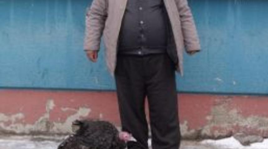 Yılbaşı Hindisi Uzunk&ouml;pr&uuml;'de Satışa &Ccedil;ıktı