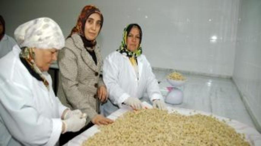 Mamaklı Kadınlar Mantı A&ccedil;ıyor