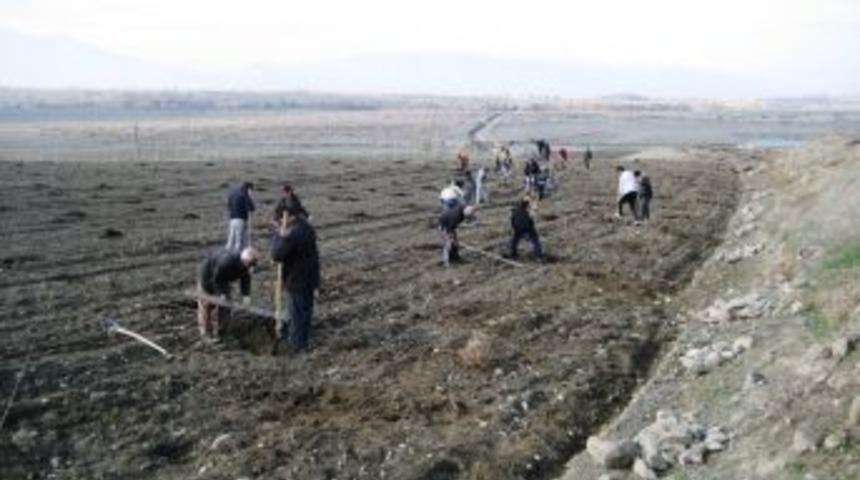 Tunay Gıda Erzincan'da Meyveciliğe Yatırım Yapıyor