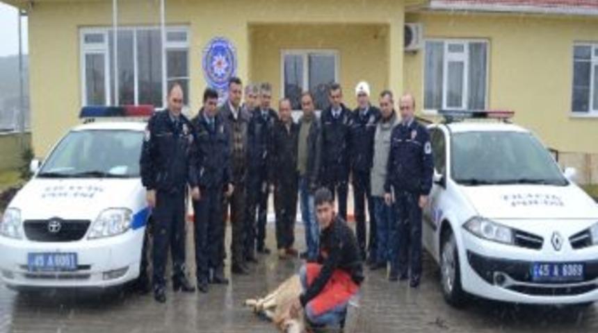 Kula Emniyeti Kurban Kesti