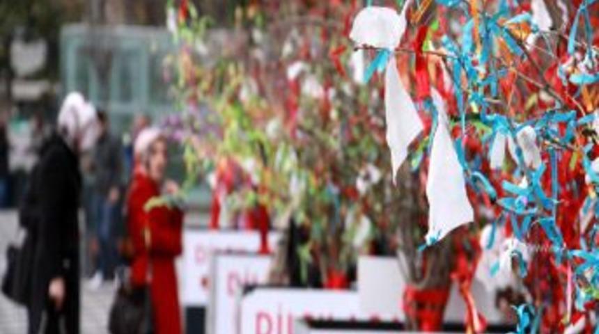 AVM'nin Dilek Ağa&ccedil;larına M&uuml;ft&uuml;den Eleştiri