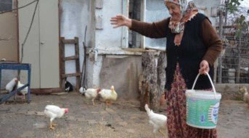 Mikro Kredi Kadınların Ge&ccedil;im Kaynağı Oluyor