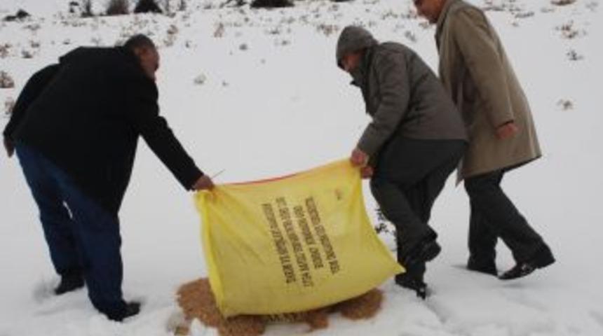 Muş&rsquo;ta Kanatlı Hayvanlar I&ccedil;in Doğaya Yem Bırakıldı