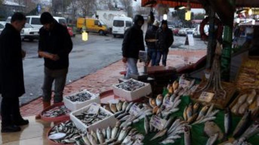 Soğuk Hava, Martılarla Balık&ccedil;ıların Y&uuml;z&uuml;n&uuml; G&uuml;ld&uuml;rd&uuml;