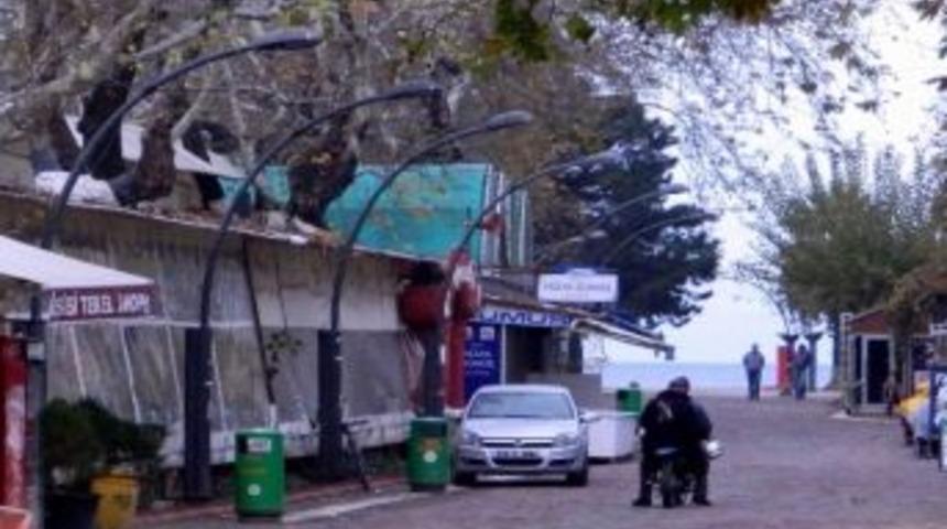 Erdek Belediyesi &Ccedil;ay Bah&ccedil;elerini Kiraya Verdi