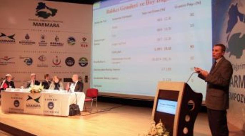 Marmara'da Lider Hamsi, Palamut Dördüncü