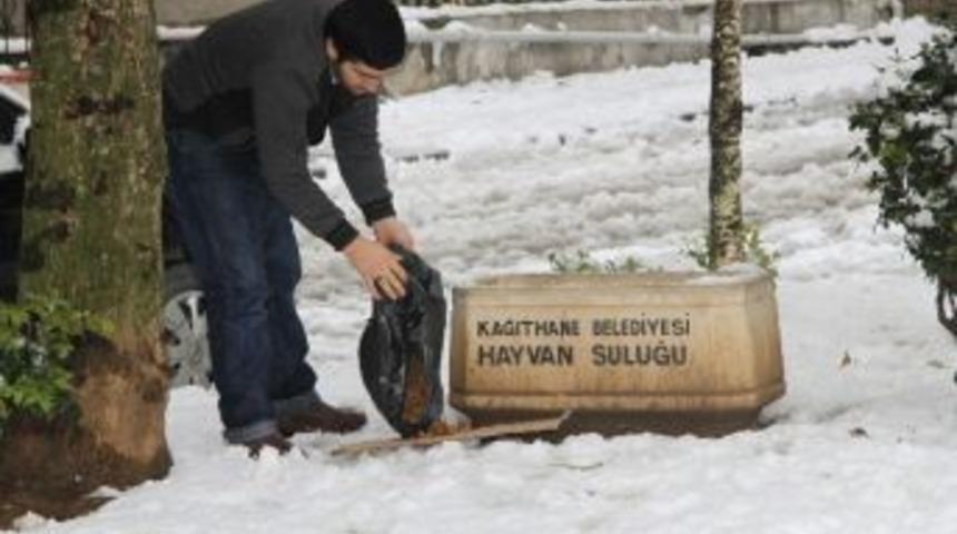 Kağıthane Belediyesi Sokak Hayvanlarını Unutmadı