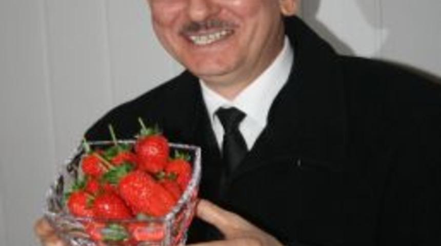 Kış Ayında Topraksız &Ccedil;ilek &Uuml;rettiler